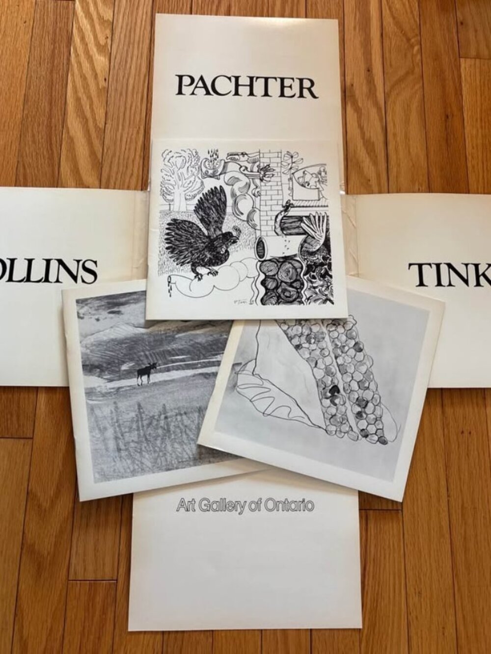 1977 AGO Art Gallery of Ontario Collins Pachter Tinkl Exhibition Portfolio